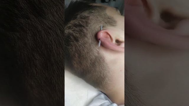 Пирсинг уха Индастриал. Indastrial Piercing .Ученица. смотреть онлайн