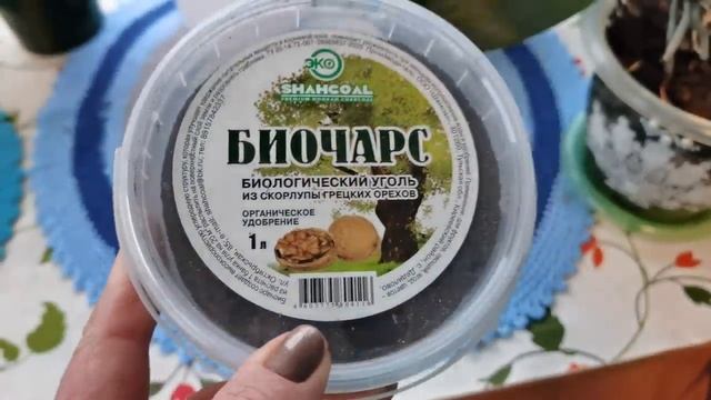 Как бороться с мышами? Топ 5 эффективных средств борьбы в доме и саду