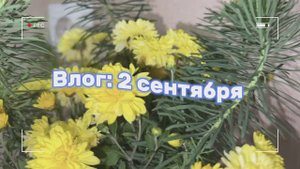 ВЛОГ: 1 сентября / 11 класс / back to school