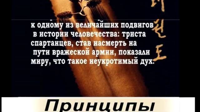Учебное видео по тхэквондо для Белого пояса. Часть 2. Стойки,принципы,теория мощности,саджу джириги