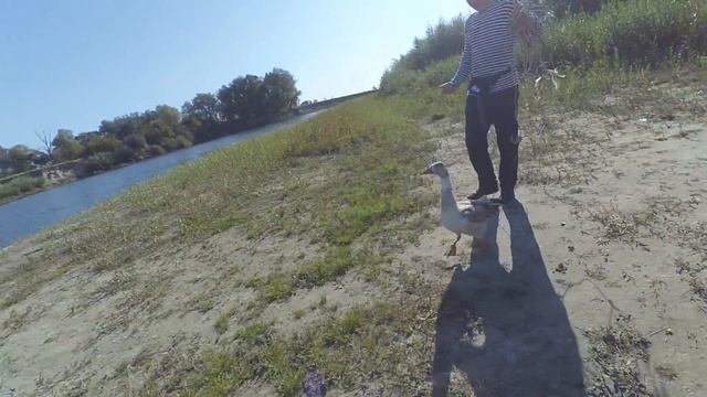 Выезд На Рыбалку В Салтыкову Девицу 15.09.2017 смотреть онлайн