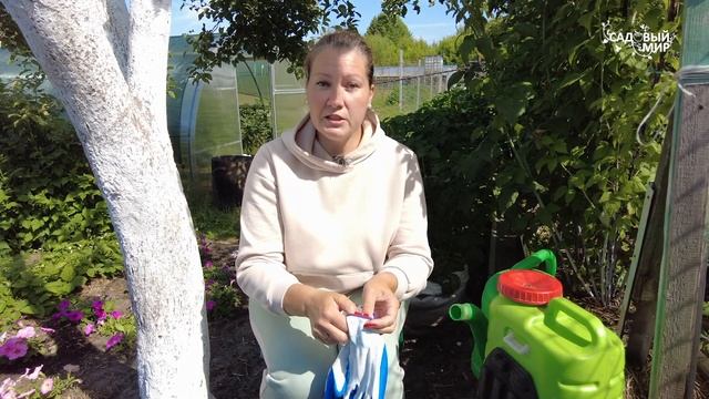 Скрутились листья на яблоне - срочная обработка.Плодожорка и листовертка охотно съедят урожай за ва смотреть онлайн