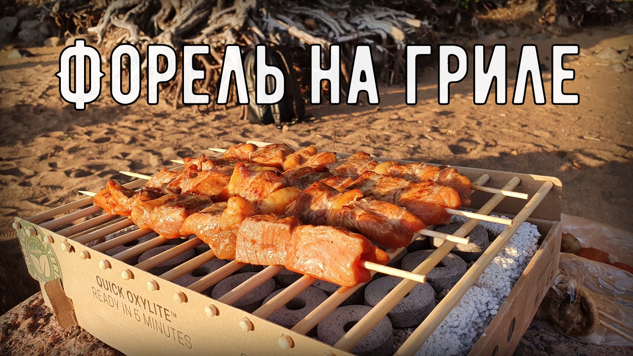 Шашлык из форели с креветками. Как мариновать рыбу для шашлыка