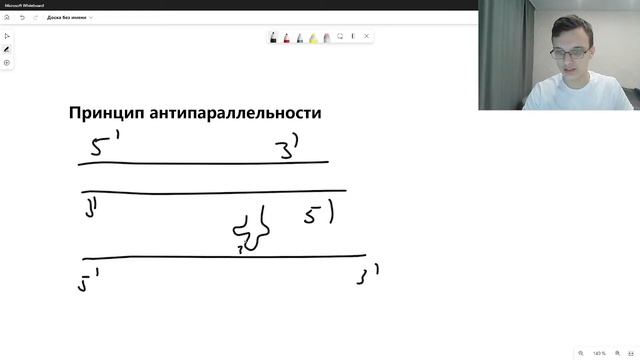 Урок 1. решение задач на биосинтез белка смотреть онлайн
