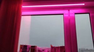 13.  Фитолампа.  Вред или польза?