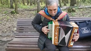 Гармонист Александр Быков