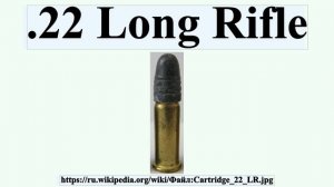 .22 Long Rifle