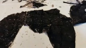 Вторая жизнь вещей. Комбинезон для собаки из пуховика