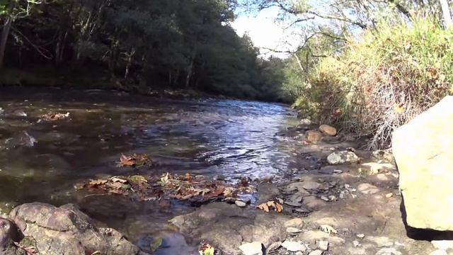 #Sonidosdelrio#relajarse sonidos de la naturaleza Звуки речки звуки горной реки смотреть онлайн