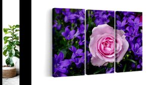 Розова роза сред лилава кампанула - пано за стена