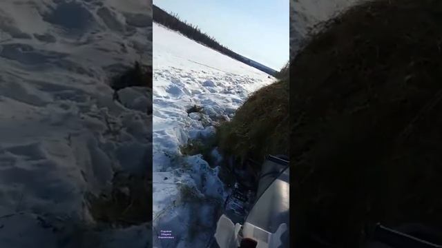 Родовая Община Корниловых. Якутия. где то в тайге... Жизнь и быт эвенков. Апрель 2022. смотреть онлайн