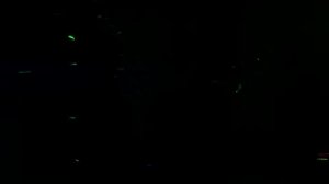 Светомузыка дома, клуб дома, свет для вечеринки, Party, disco at home