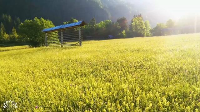 Музыка лечит сердце ? Расслабляющая музыка для отдыха ума, стресса, беспокойства, медитации #18 смотреть онлайн