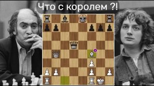 Жестоко наказал за блуждающего в центре короля! Михаил Таль - Ян Тимман Шахматы