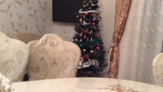 19 января 2016 г. смотреть онлайн