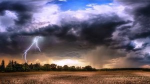 Неохотно и несмело