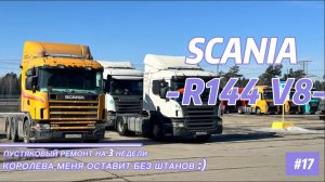 SCANIA R144 V8 / ОНА МЕНЯ ОСТАВИТ БЕЗ ШТАНОВ