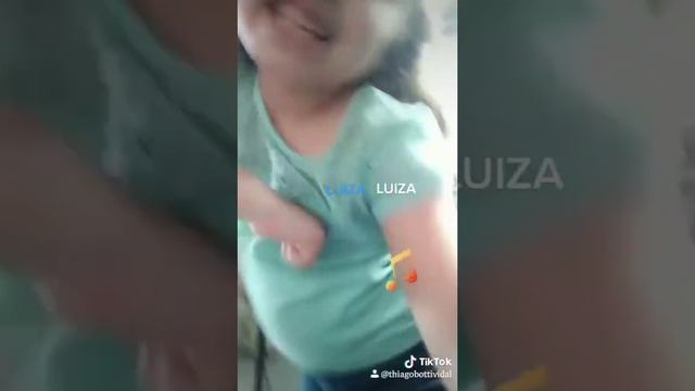 Apresentação Luiza de Almeida Vidal