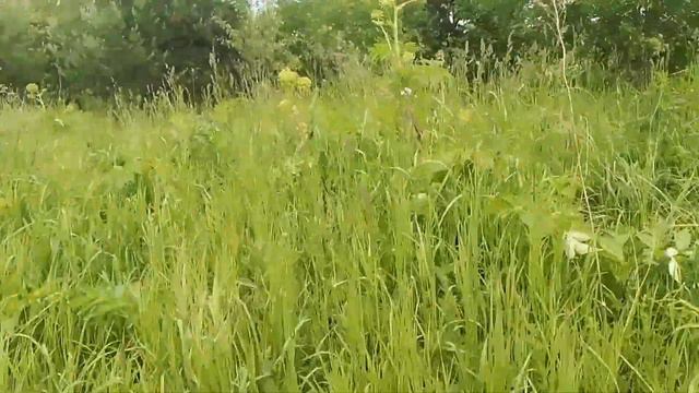 У кого какие предложения? смотреть онлайн