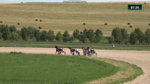 24.08.2024г. БСК 5 этап  Ипподром Алтай ПРИЗ НАЦИОНАЛЬНОЙ АССОЦИАЦИИ ЗАВОДЧИКОВ И ВЛАДЕЛЬЦЕВ ЛОШАДЕЙ