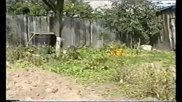 Путешествие в Бобруйск смотреть онлайн