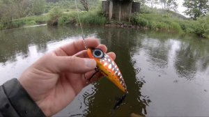 Рыбалка в Германии под дождём на спиннинг | Щука сожрала MEGALLON | River fishing in the rain