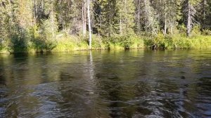 Сплав по реке Кутсайоки и Тумча на пакрафте Иволга XL. 1 часть,  Рыбалка Сбор Брусники