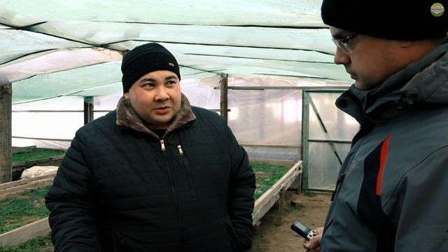 Теплица для рассады своими руками