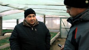 Теплица для рассады своими руками