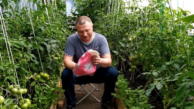 Супер способ борьбы с муравьями. Часть 2. Диатомит. смотреть онлайн