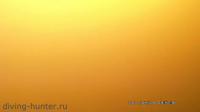 Как ловить толстолобика смотреть онлайн