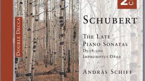 Schubert: Piano Sonata No. 19 in C minor, D.958 - 4. Allegro