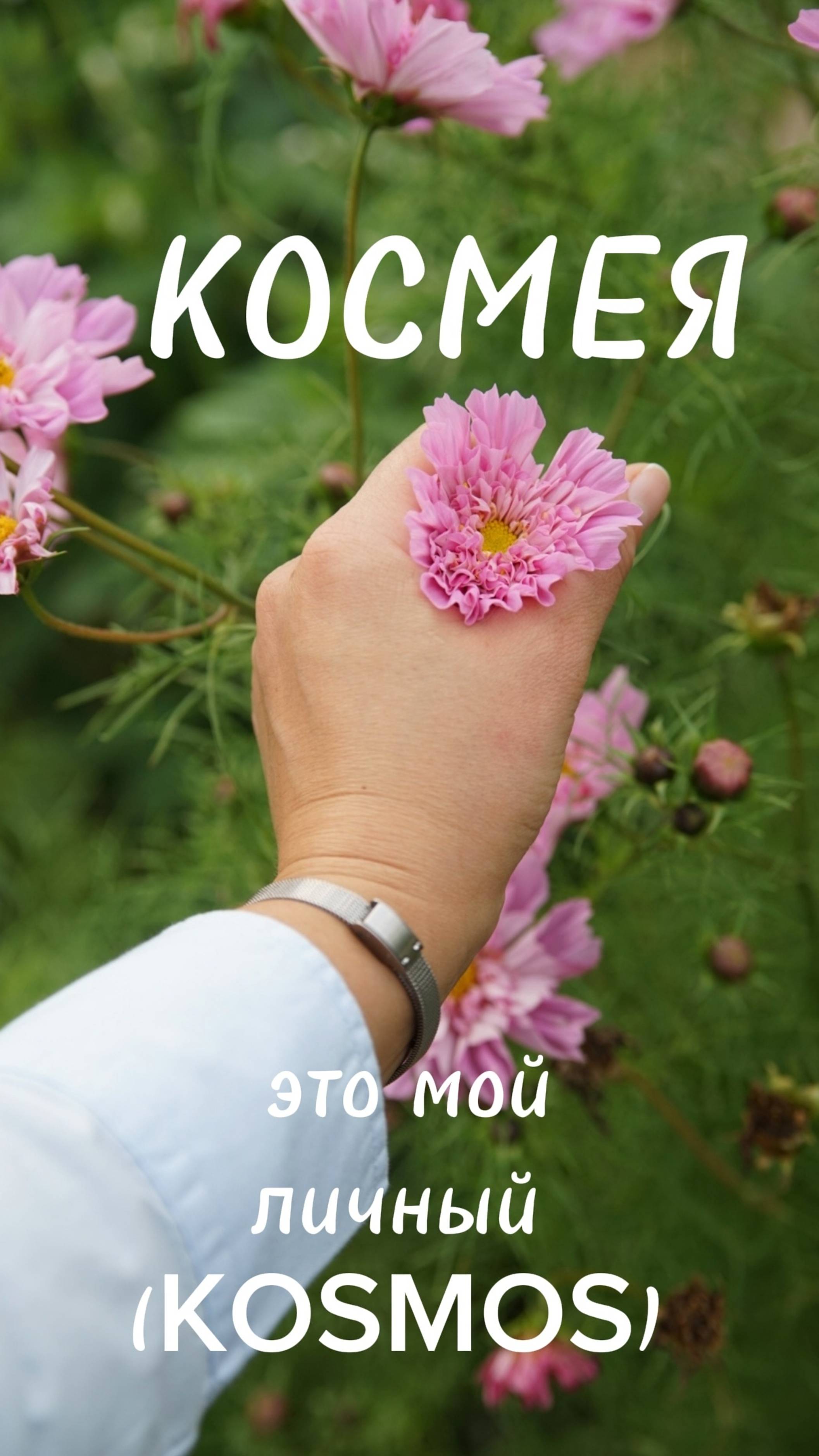 КОСМЕЯ (COSMOS) смотреть онлайн