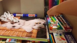 Готовимся к 1 классу. Купили ранец и канцтовары для школы.