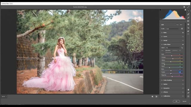 Light & Airy - FREE CAMERA RAW PRESET смотреть онлайн