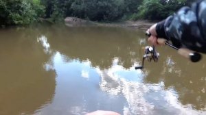 Микроречка и её обитатели. Голавль, щука, окунь. Тест UL спиннинга c Ali Rosewood. Рыбалка 03.06.18