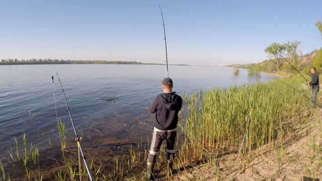 #6 Трофейная Рыбалка на Нижней Волге. Рыбаки Поймали Огромного Голавля. На что Ловить Голавля смотреть онлайн