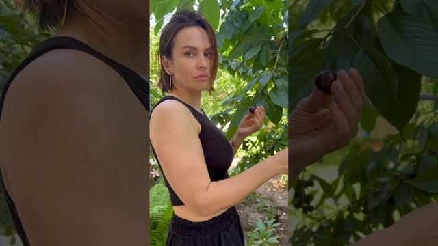 Смешные видео I Мам, а наш папа олигарх?