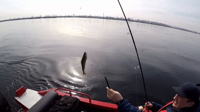 Рыбалка и обзор. NorthSilver 520 Fish с  Mercury 80 EFI. Комплект для рыбалки.