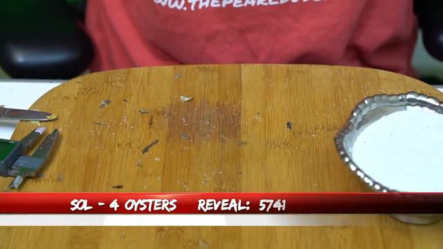 Special Guest Appearance! (End of Video) смотреть онлайн