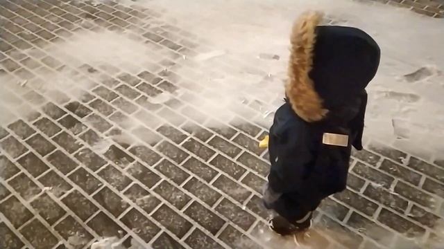 Очень вкусно, фрикадельки в соусе, быстрая картофельная запеканка, гуляем в мороз? смотреть онлайн