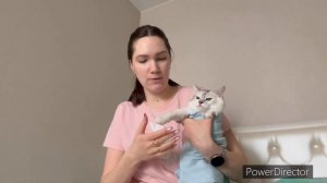 Как постричь когти кошке самостоятельно