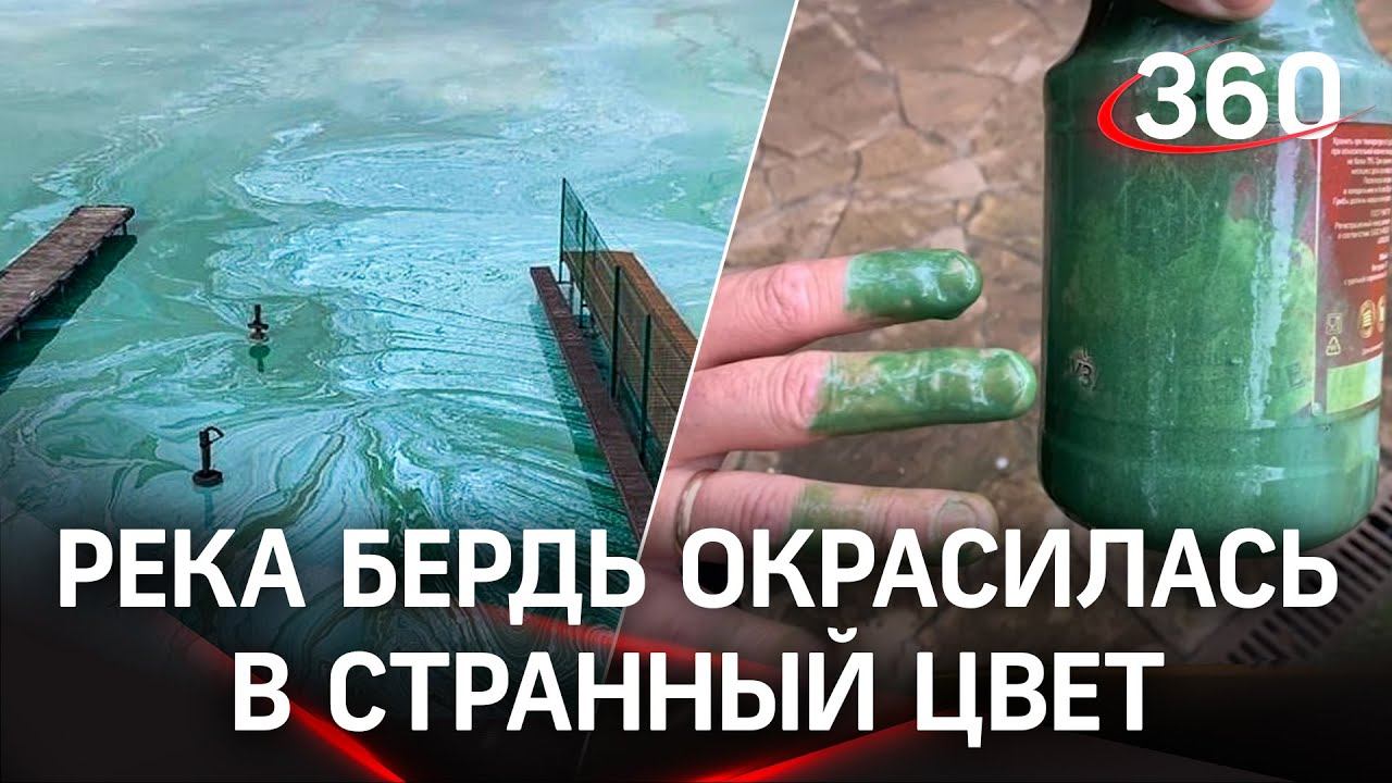 Видео: химические «Мальдивы» пугают жителей под Новосибирском. В МЧС уверяют - это всё водоросли