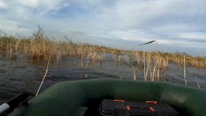 Погода жесть!!! А толстые караси клюют!!! Часть 1 вечер.