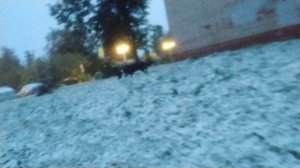 выпал первый снег