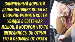 Дальнобойщик ночью увидел на обочине мешок, который шевелился. Открыв его, он обомлел от ужаса