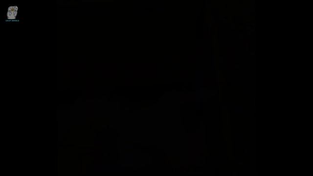 В парке был брошен котёнок, все прохожие хотели его усыновить, потому что... смотреть онлайн