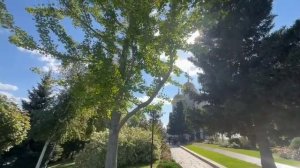 Хор "Унисон" рук. Е.В. Алпатова
"С чего начинается Родина"