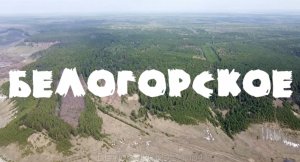 БЕЛОГОРСКОЕ