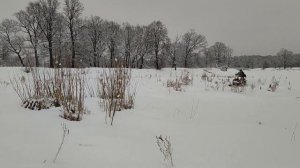 Испытания снегохода Азимут. Он выжил!!!